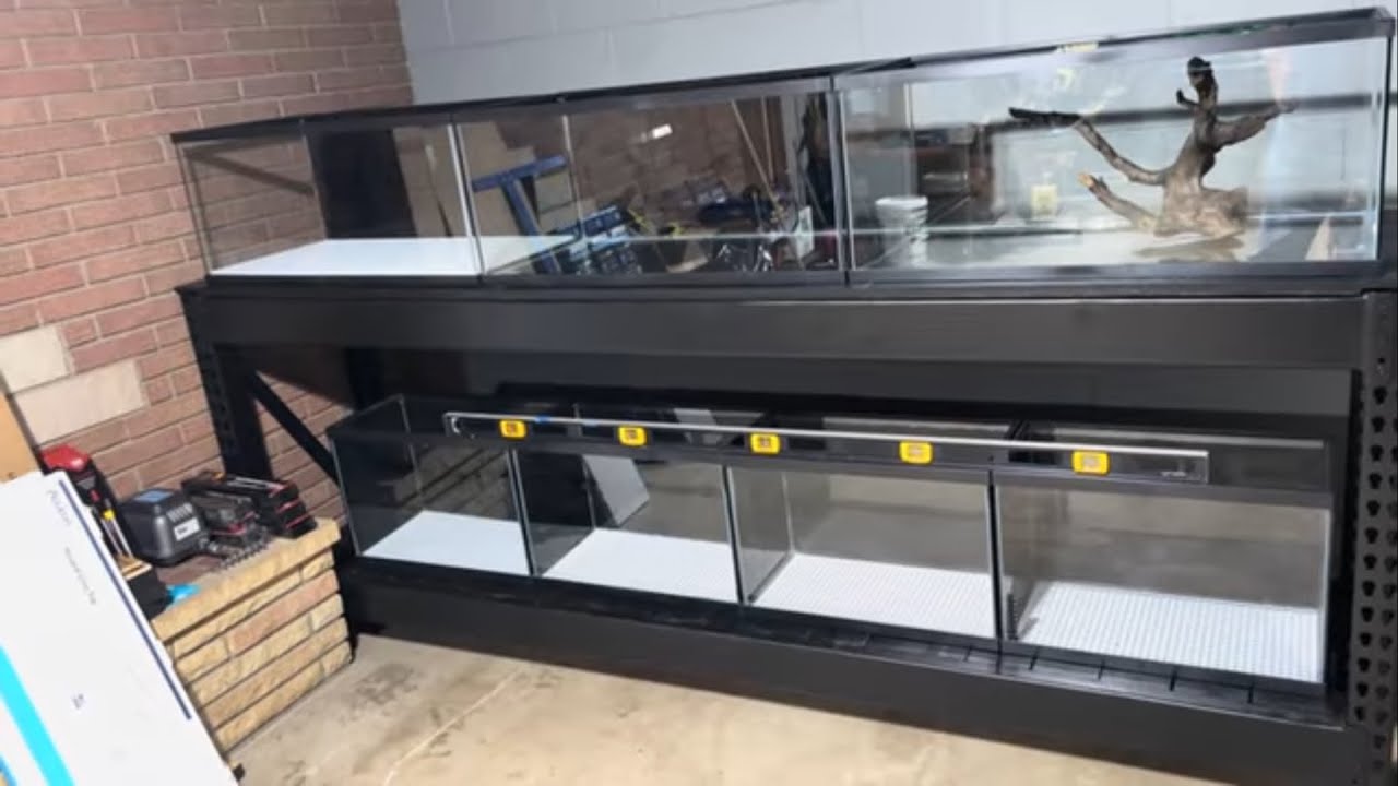 Work in Progress Fish Room. 