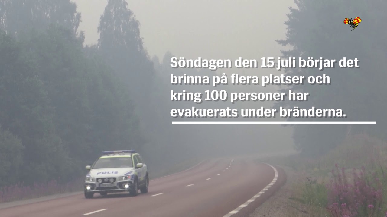 Sommarens v&auml;rsta br&auml;nder