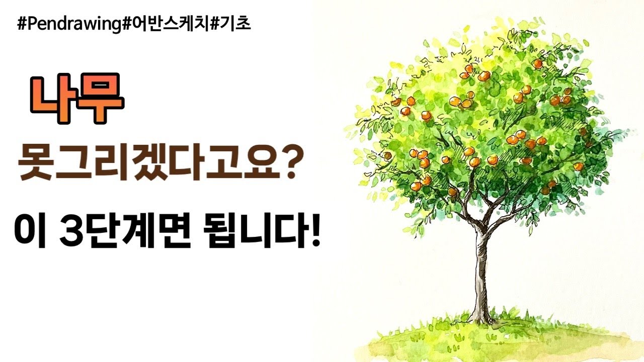 펜드로잉/어반스케치/나무 그리기 3단계면 끝/수채화 배우기/오렌지 나무 그리기