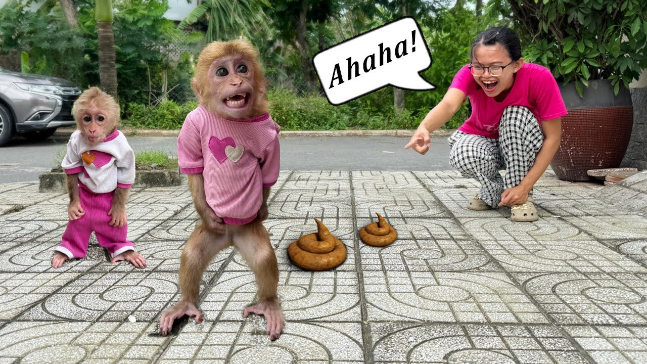 Embarrassed Lucky poops in street, whole neighborhood laughs