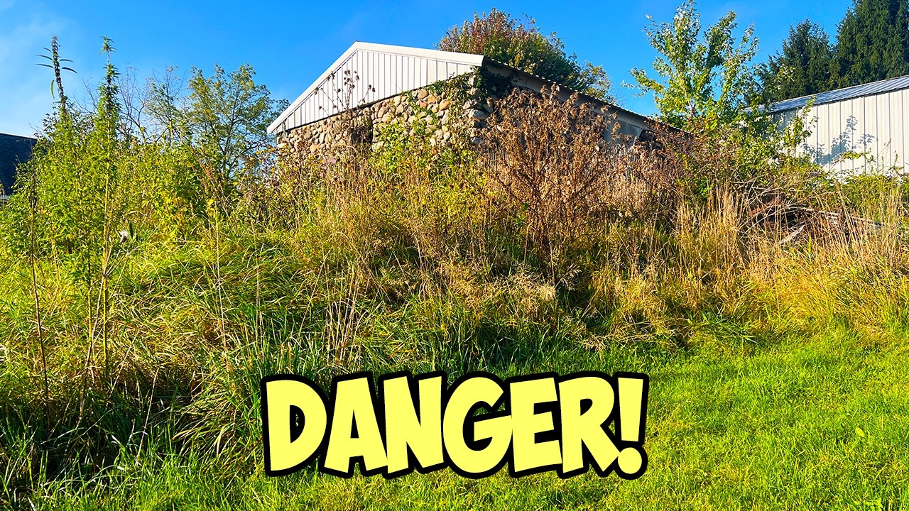 Danger in an Overgrown Yard, $20,000 worth of trash!