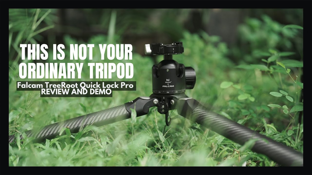 Design Meets Durability - Falcam TreeRoot Quick Lock PRO Tripod Review and Demo for Photography