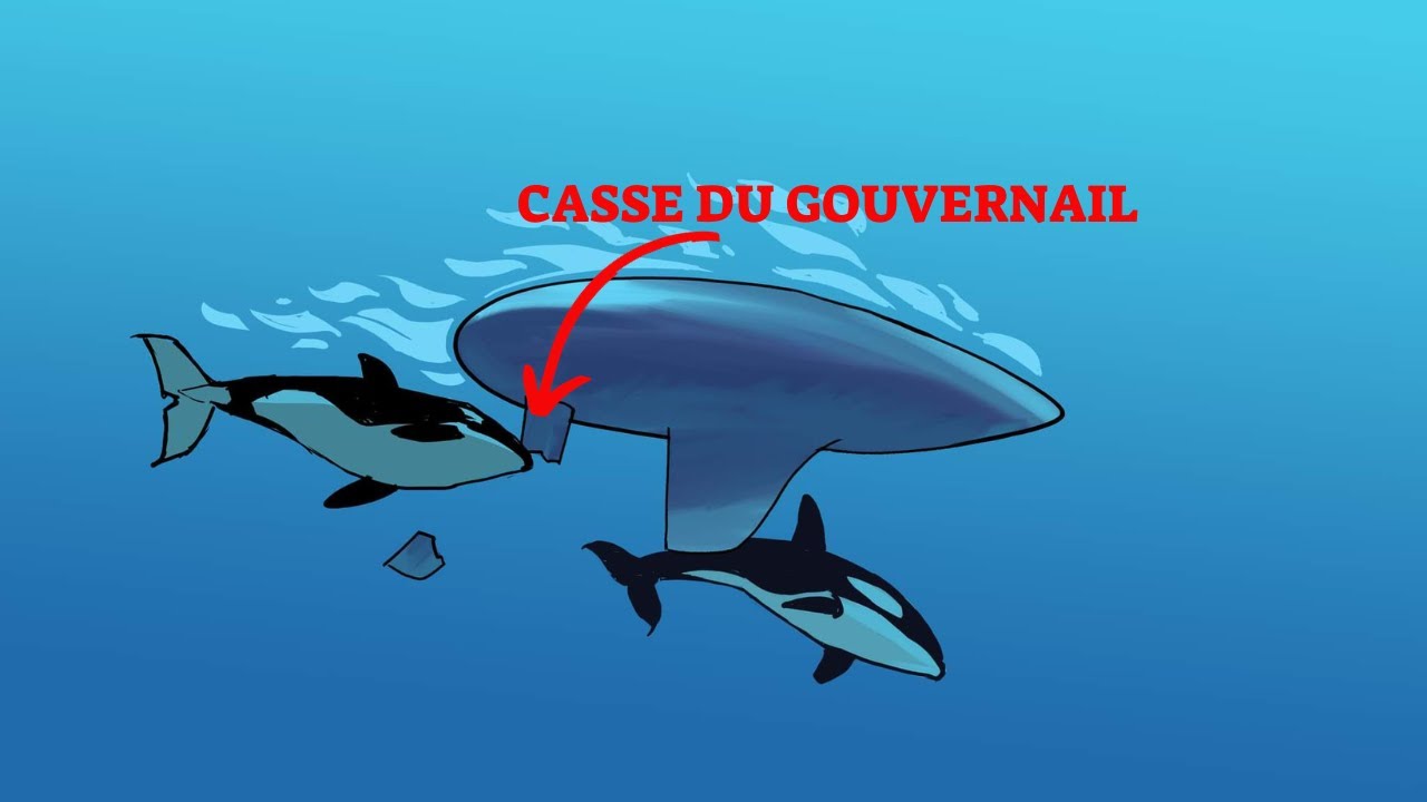 COMMENT FAIRE ROUTE SANS SAFRAN à l'aide d'une ancre flottante: Les Enquêtes Nomades # 7