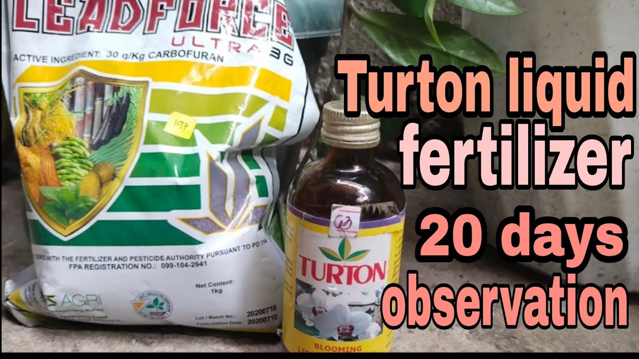 Turton liquid fertilizer at Leadforce insecticide nematicide 3weeks observation