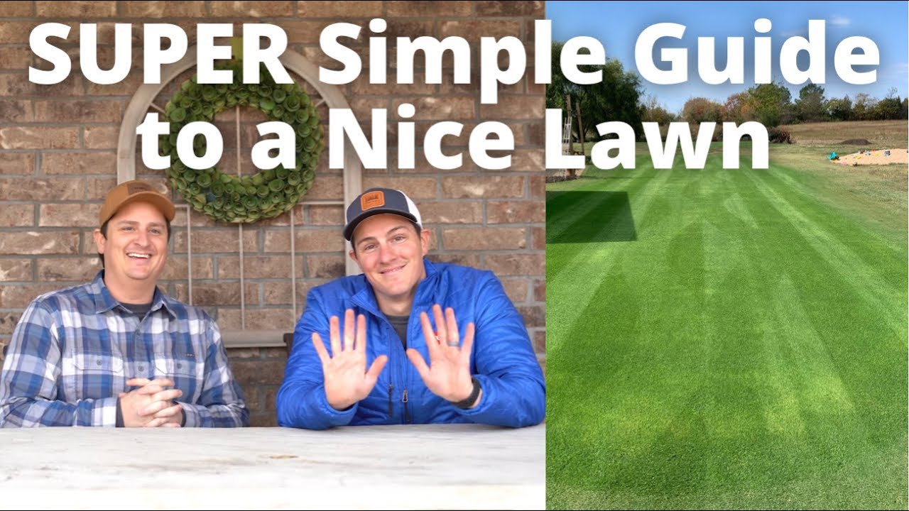 Lawn Care for Beginners