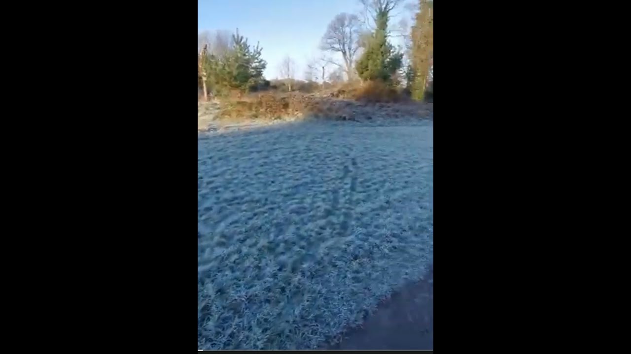 It Definitely feels colder when you're pipless 😂🍻 wee walk 