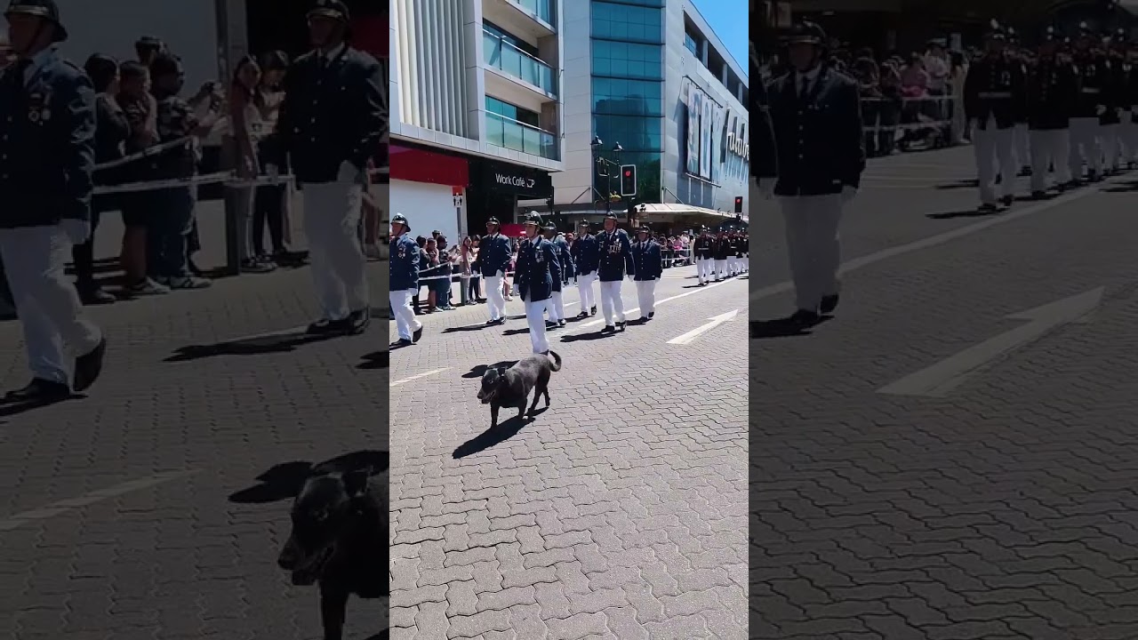 Desfile Aniversario N°127 Cuerpo de Bomberos de Temuco 