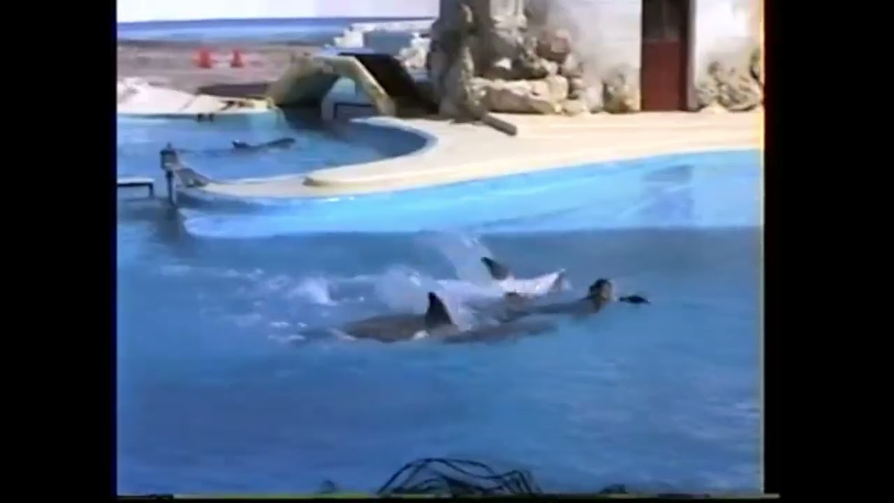 The Great Alexander: SeaWorld Orlando