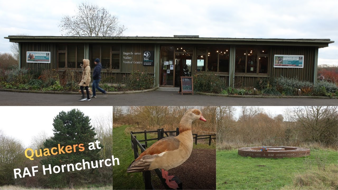 A Nature discovery tour at Ingrebourne Country Park Hornchurch