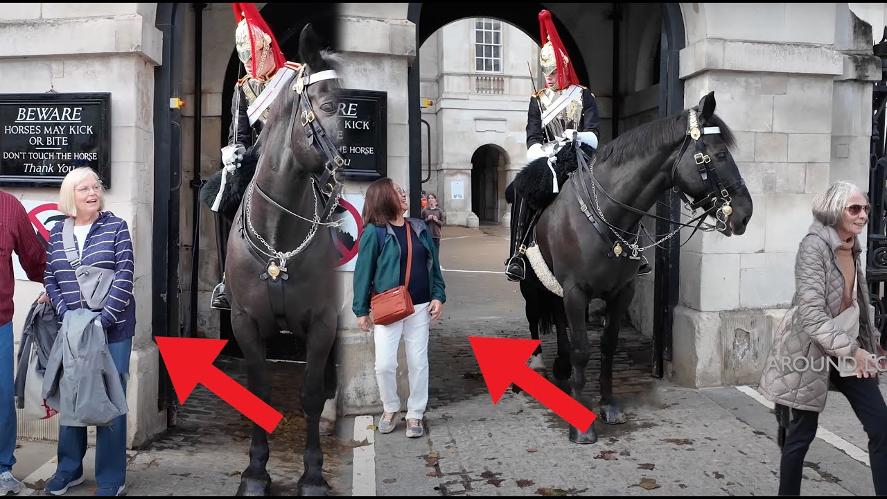 BRAVO GUARD!! Guard leans down, REPRIMANDS Tourists 