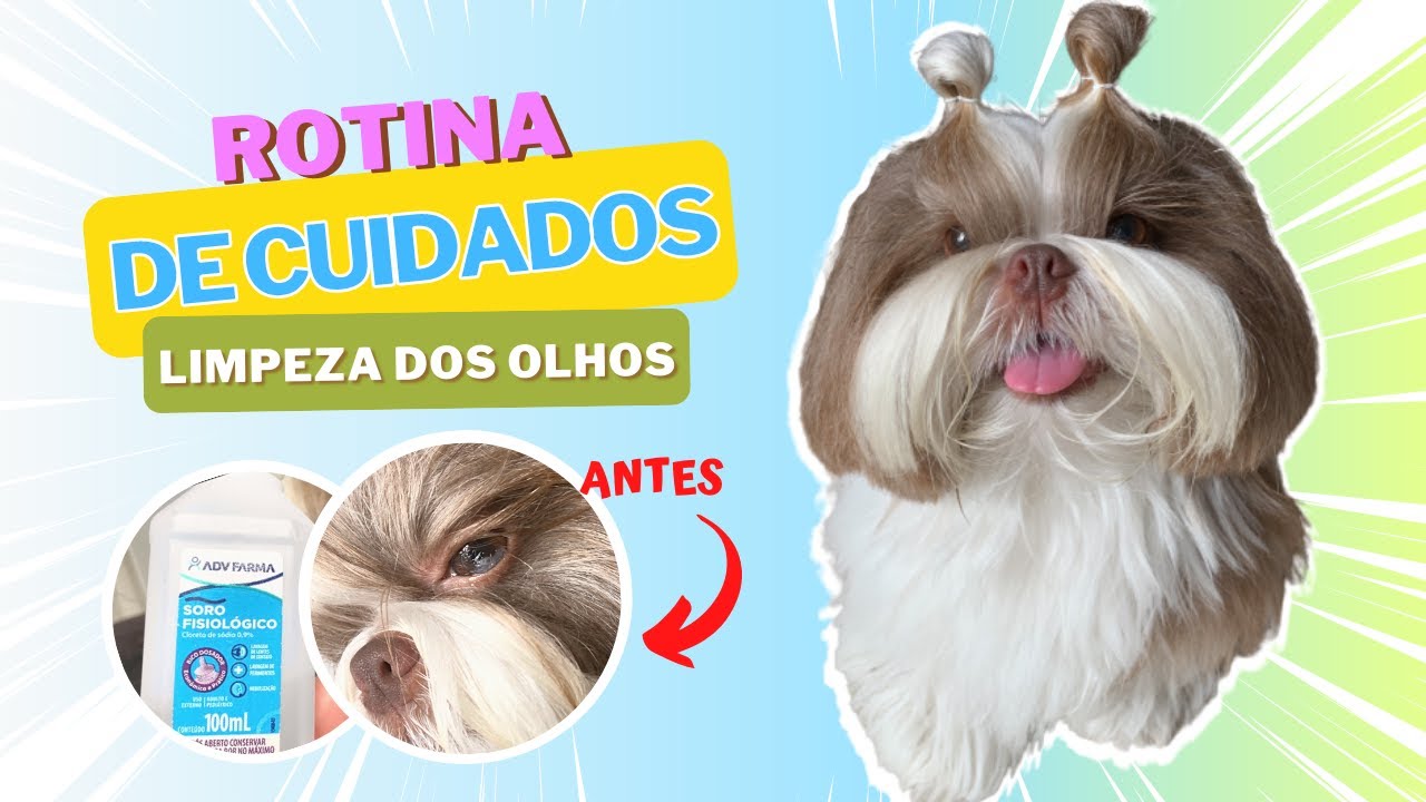 ROTINA DE CUIDADOS  E HIGIENE SIMPLES | COMO EU LIMPO OS OLHOS DO MEU SHIH TZU