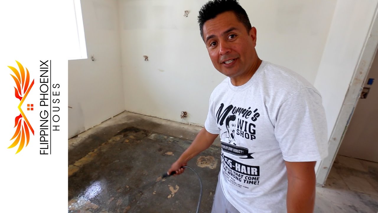 North Phoenix Cat Pee House - Odor Removal and Front Door Delivery