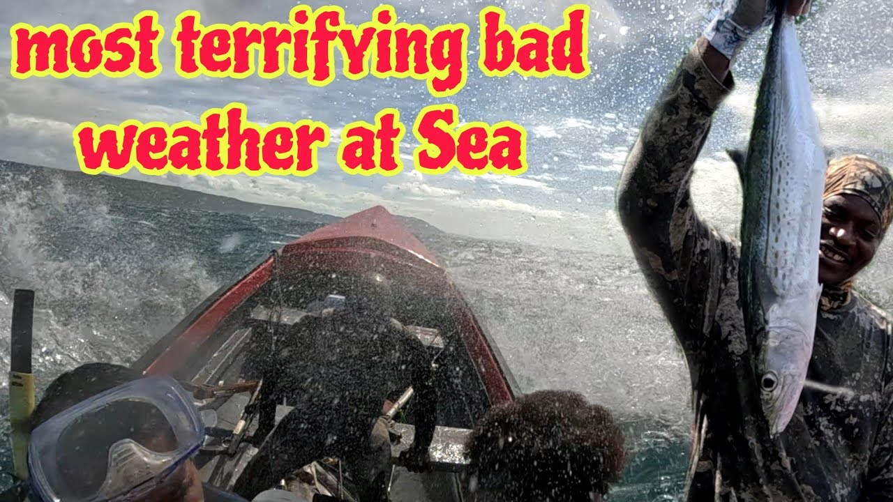 Caught In A Tropical Depression At Sea: Surviving Rough Seas And A Crocodile Attack