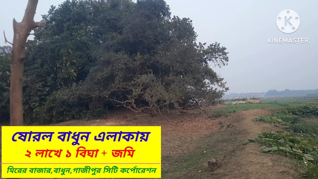 ২২.৫ কাঠা জমি বিক্রি।।বাধুন গাজীপুর সিটি #Asset Seller#Land sale badhun#gazipur sity Corporation