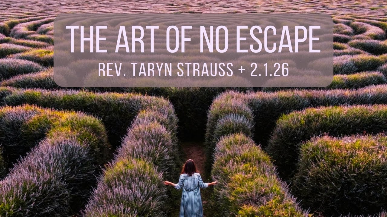 2/1/26 The Art Of No Escape