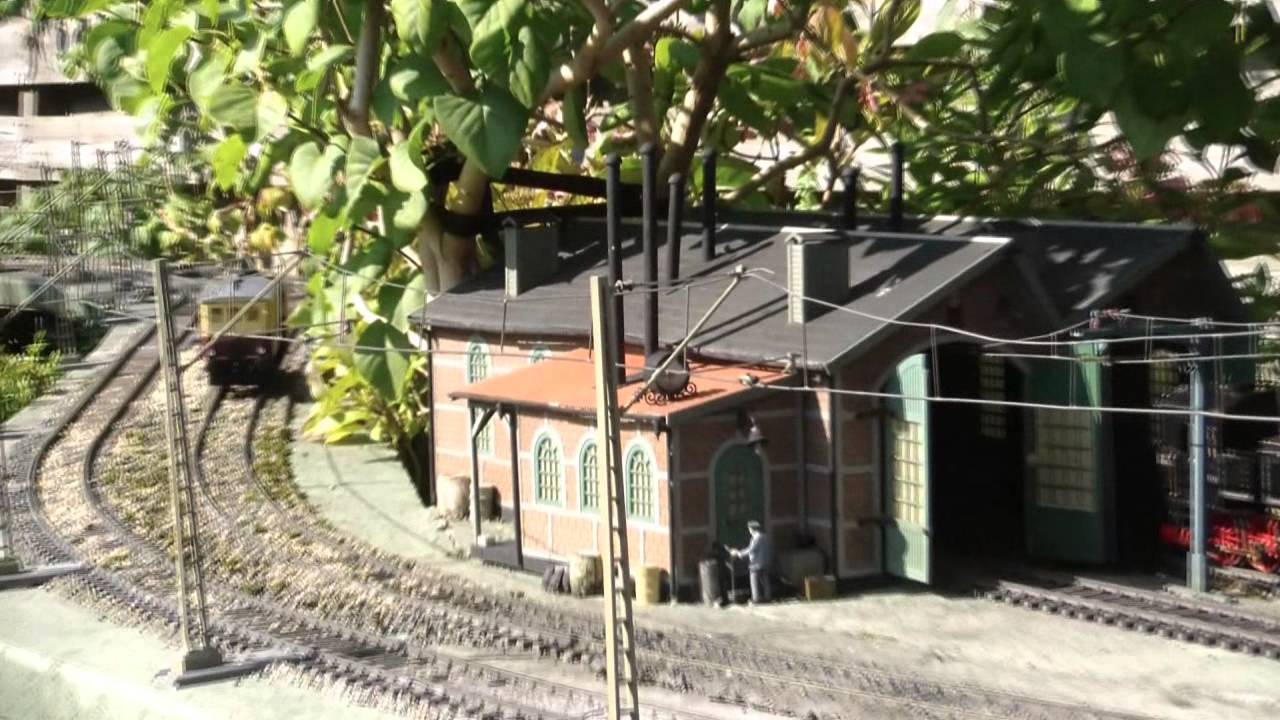 Spur 1 Züge im Garten unter dem Draht