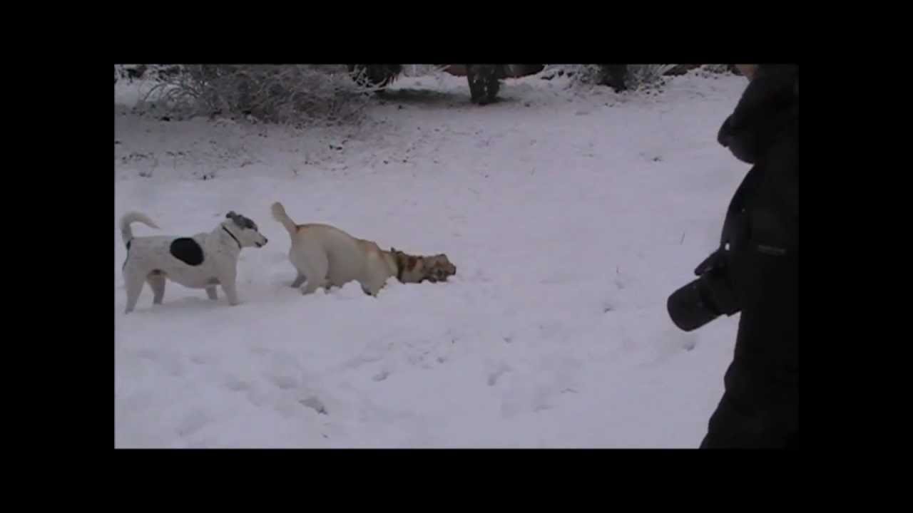 roma nevicata Febbraio 2012 courmayeur o romaeur.wmv