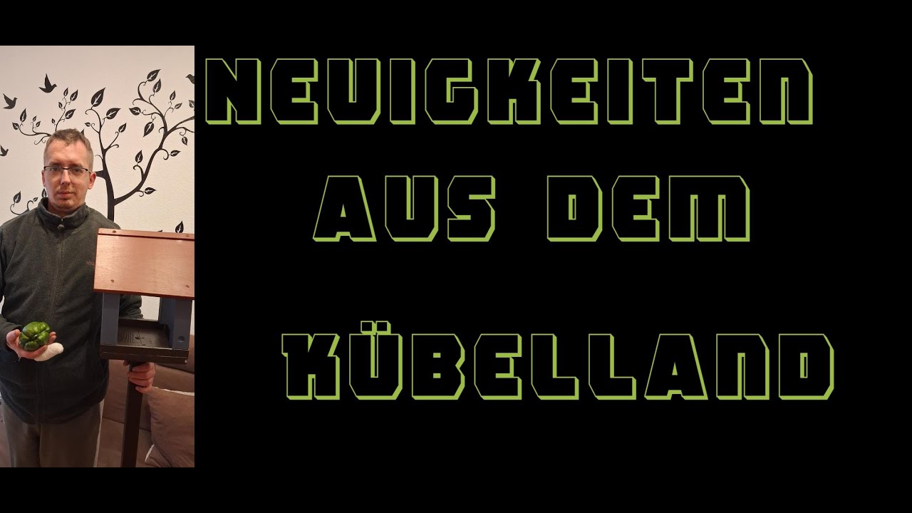 # 151 Neuigkeiten aus dem Kübelland
