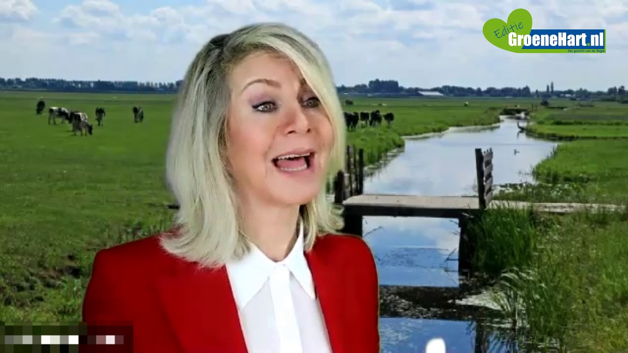 Waarom een parallelweg richting Nieuwerbrug nodig is?