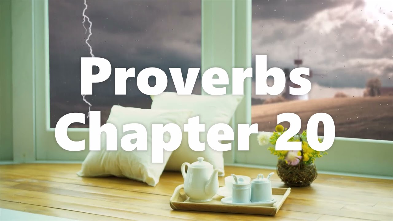 The Book of Proverbs Chapter 20 - New King James Version (NKJV) - Audio Bible