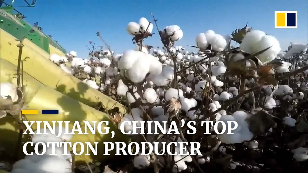 Xinjiang, China&rsquo;s top cotton producer
