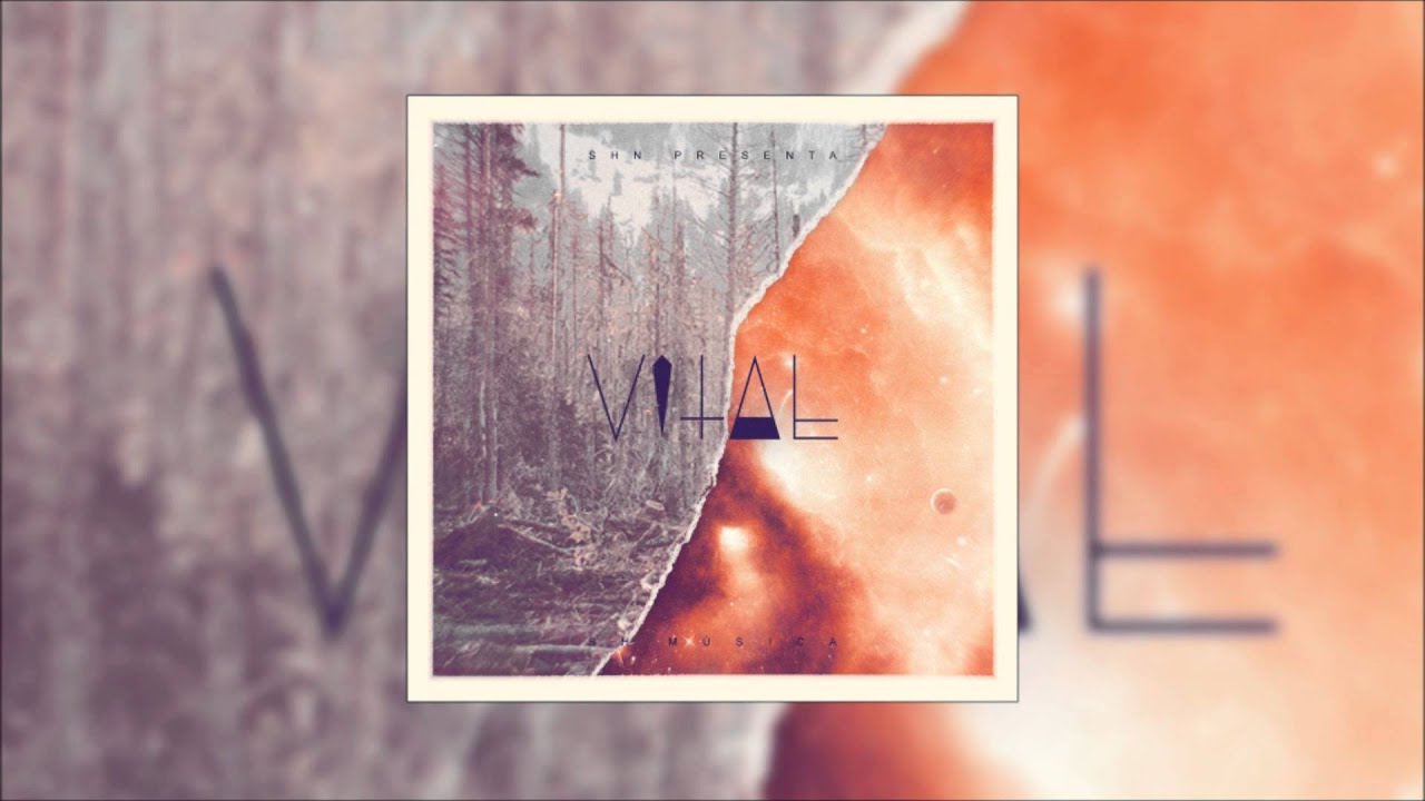 SHN - Vital (2013) [TRABAJO COMPLETO]