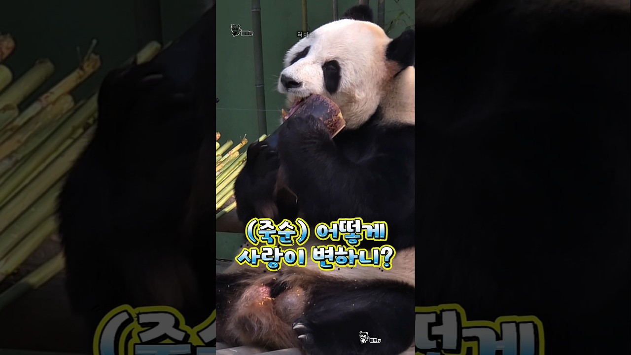 🌬어떻게 사랑이 변하니?