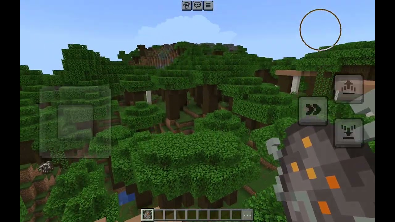Playing Minecraft 