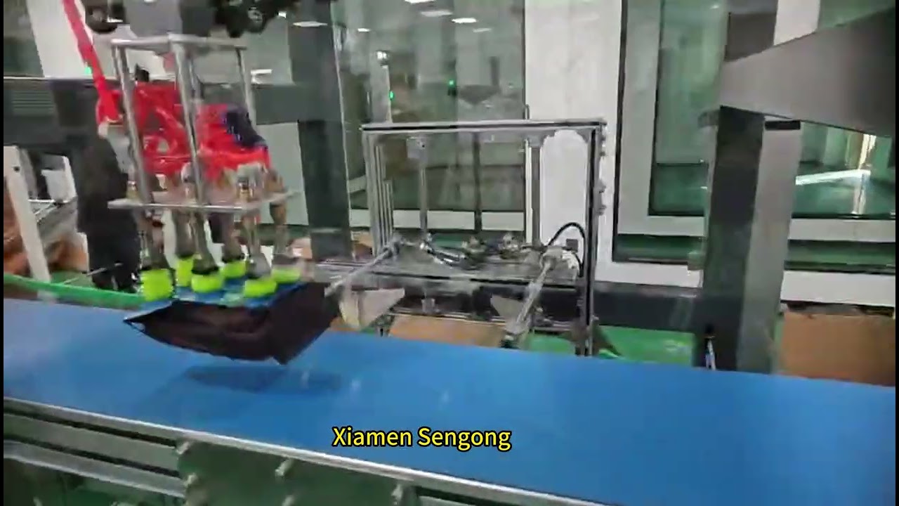 Stand up pouch packaging machine for coffee bean - Production Line