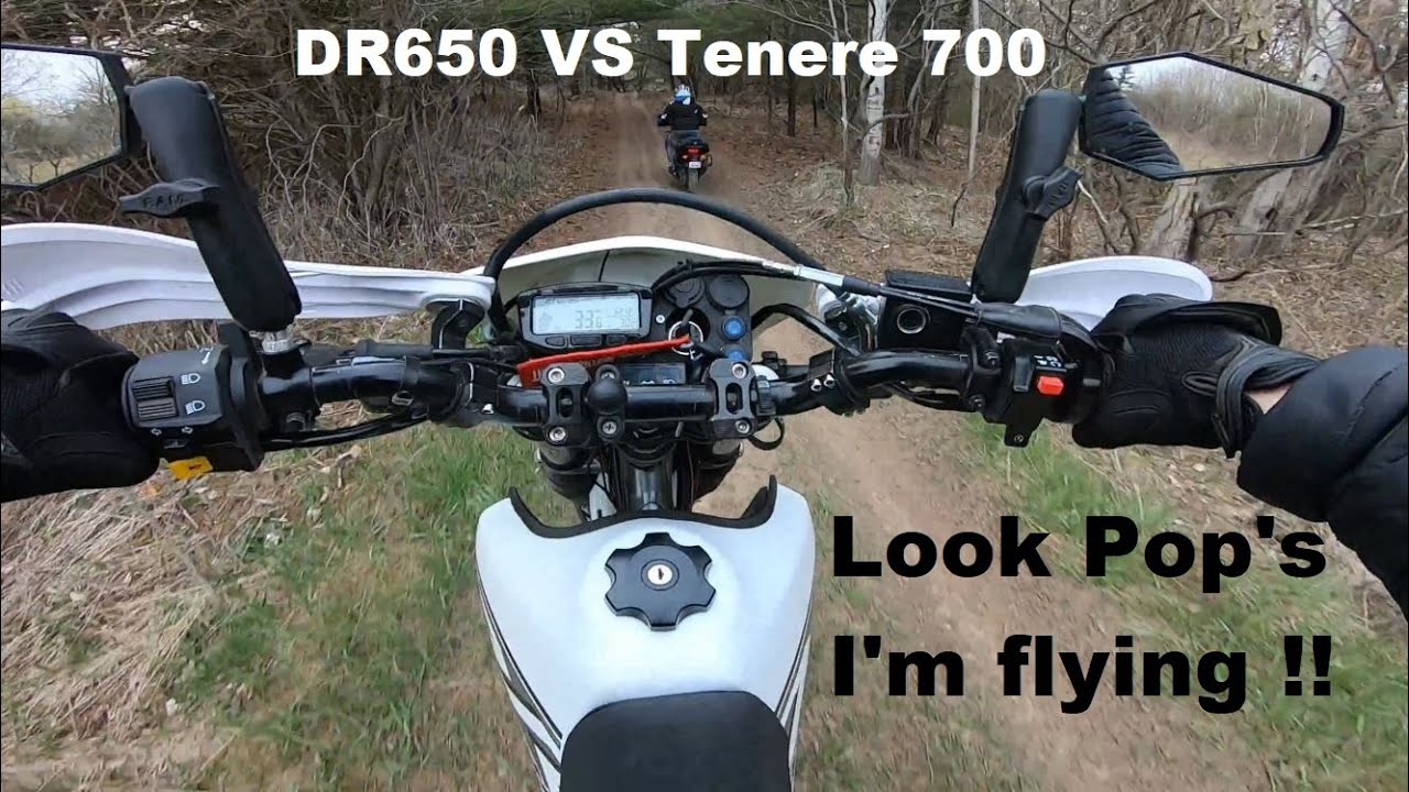 Suzuki DR650 VS Yamaha Tenere 700, Power to Bush pig !