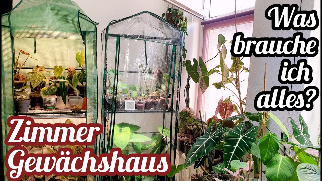 Zimmer Gewächshaus Tour | ZUBEHÖR plus  SELTENE PFLANZEN