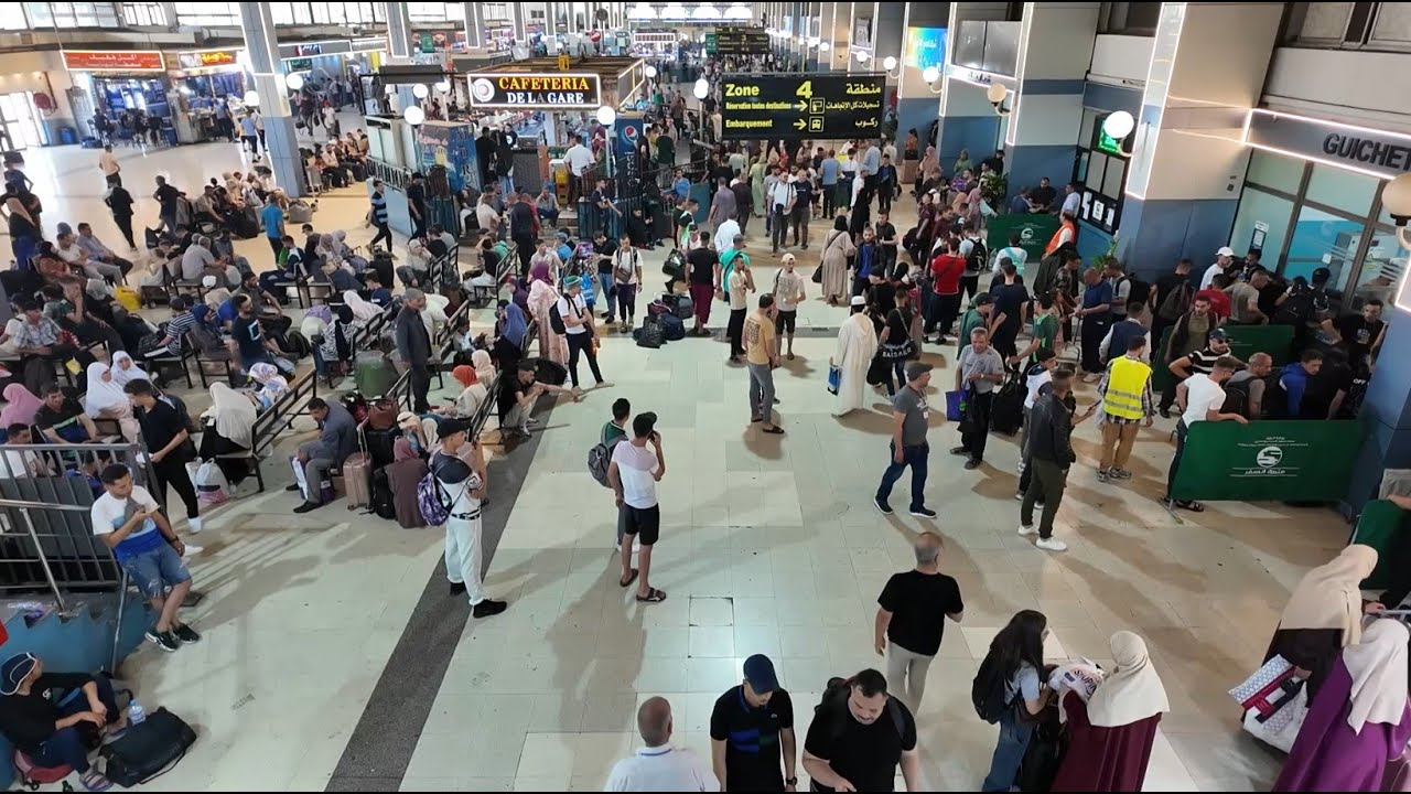 سوقرال 2650 رحلة إضافية لنقل المسافرين عبر مختلف المحطات البرية قبيل عيد الأضحى