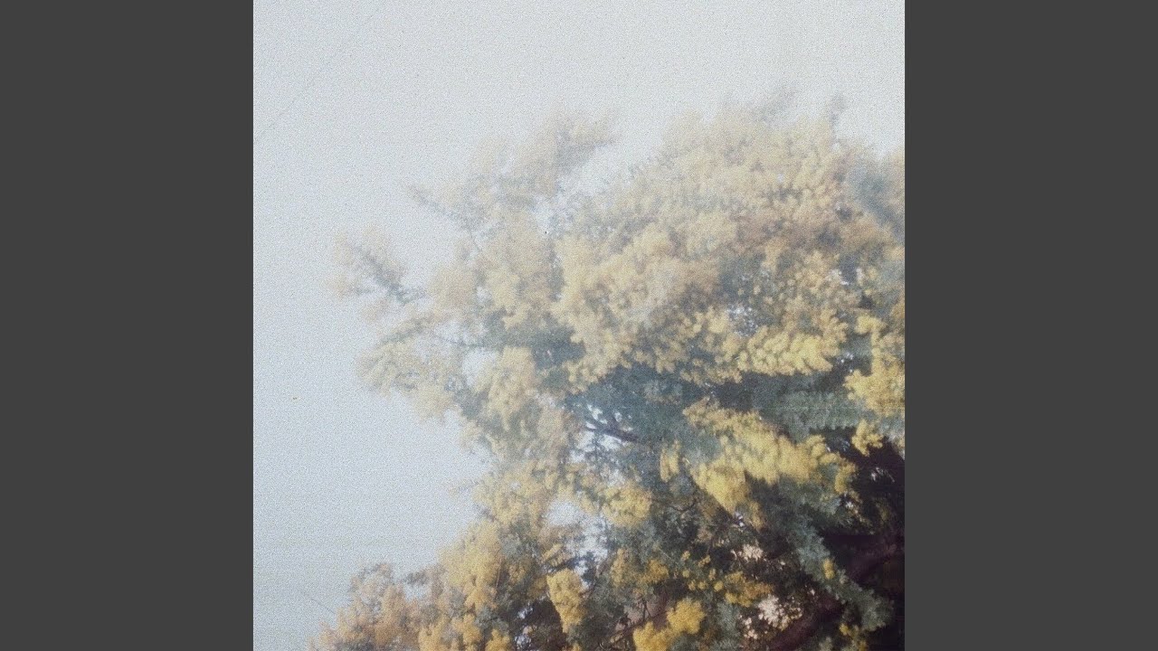 余熱