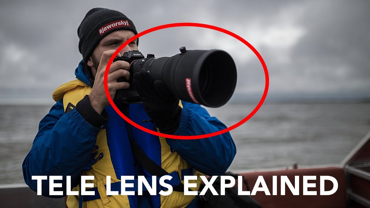 TELE LENS EXPLAINED 📷 Best Lens for SPORT & WILDLIFE Photography