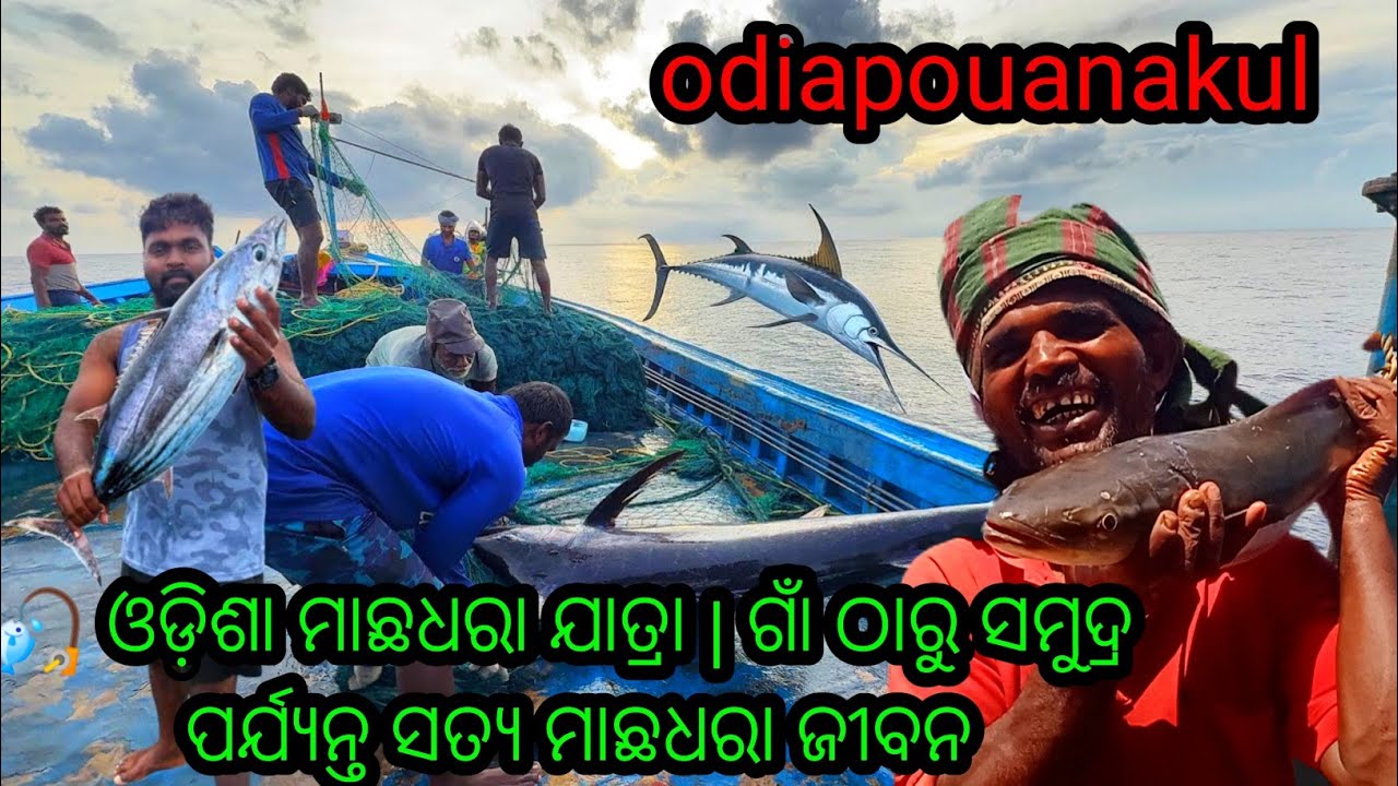 Odisha Fishing Adventures 🎣 | Village to Sea Real Fishing Life | @odiapouanakul