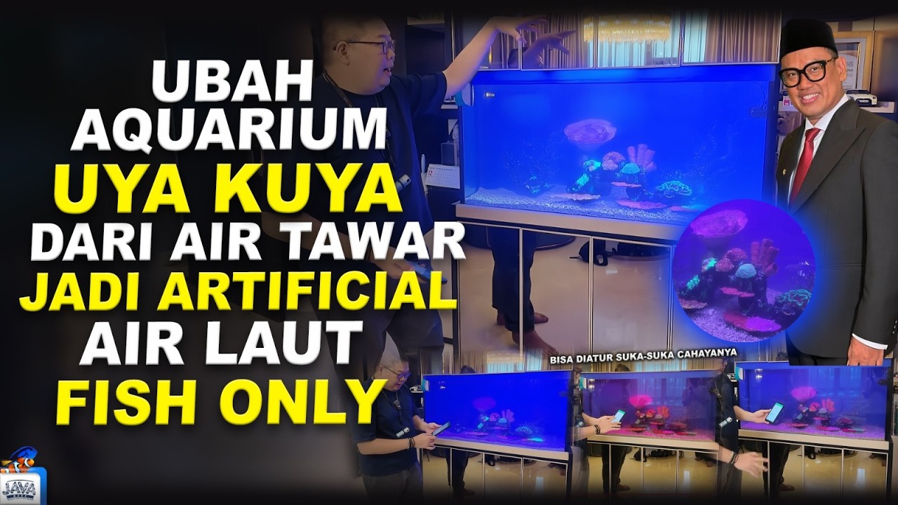 TRANSFORMASI AKUARIUM UYA KUYA - DARI AIR TAWAR KE REEF TANK!
