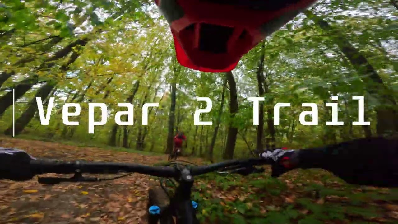 Veprovi - Autumn vibes | Fruška Gora MTB 4K