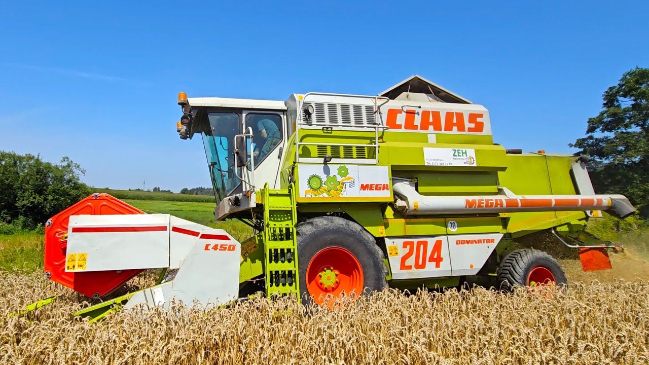 CLAAS Mega Dominator 204 Mähdrescher mit C 450 bei der Weizenernte 2024 !