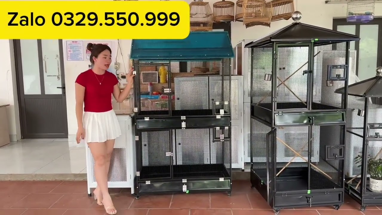 Avi siêu đẹp , siêu rẻ , nuôi được tất cả các loại chim !