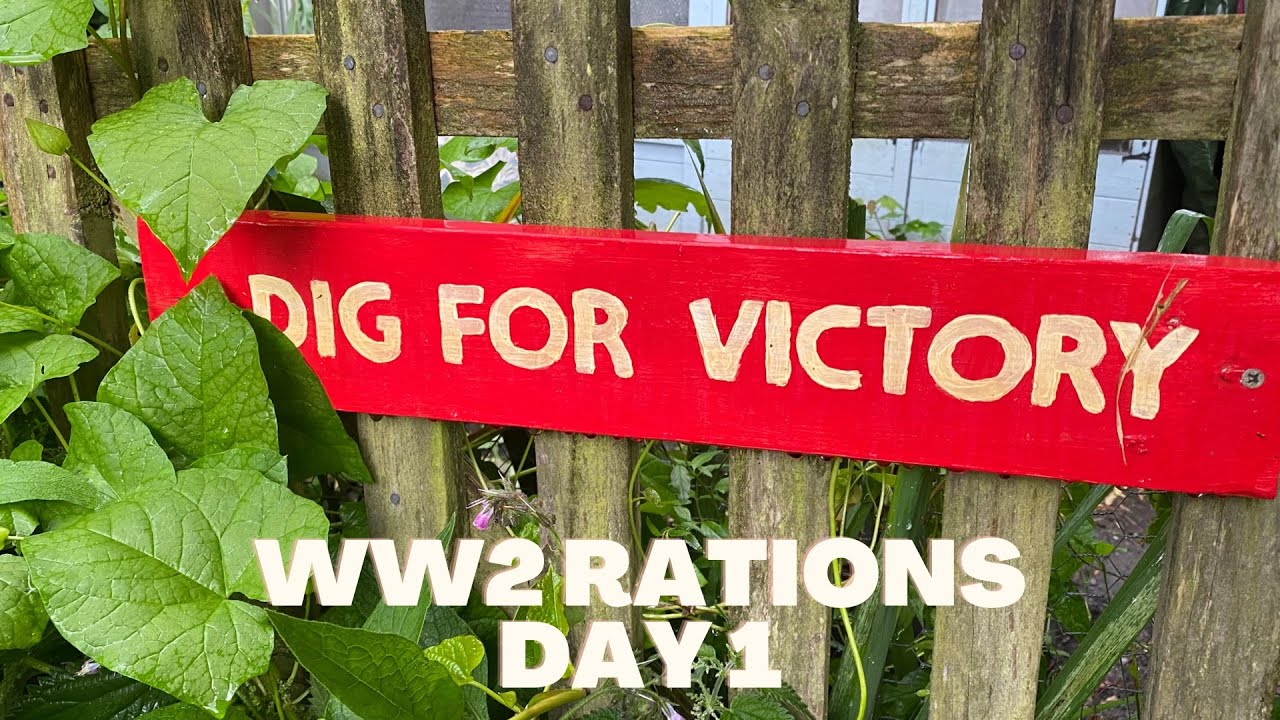 Our week on WW2 Rations: Day 1