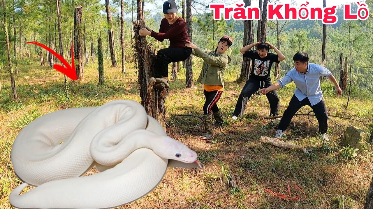 Cuộc Gọi Khẩn Cấp Của Hai Vợ Chồng Phát Hiện 1 Con Rắn Khổng Lồ Khi Đang Đi Làm