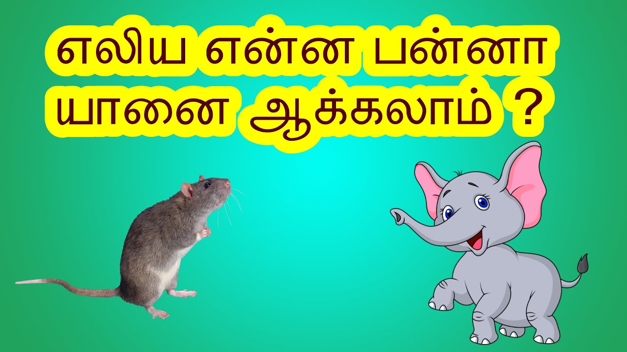 மொக்க ஜோக்ஸ் |அறுவை ஜோக்ஸ்  |Mokka Jokes |Aruvai Jokes|Kadi Jokes |Jokes In Tamil |
