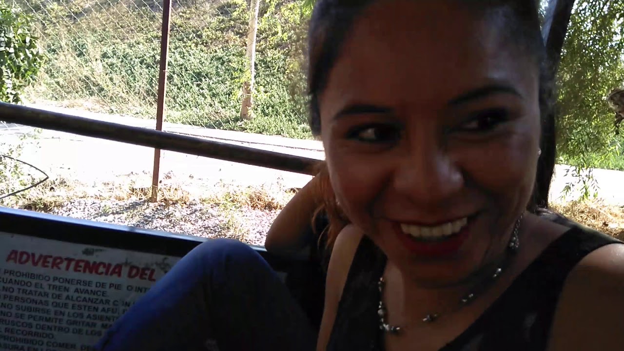 Recorrido tren safari parque morelos