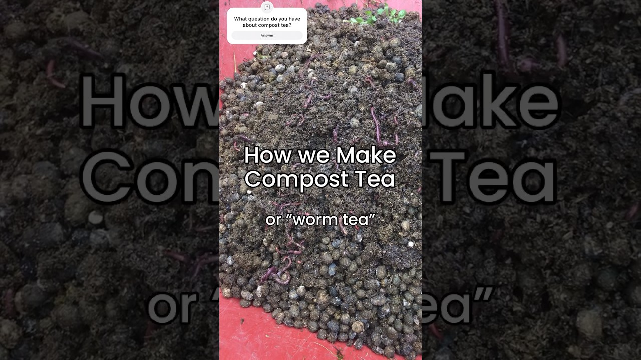 Jumpstart your garden with EASY diy compost tea!        #composttea #wormtea #gardening #compost