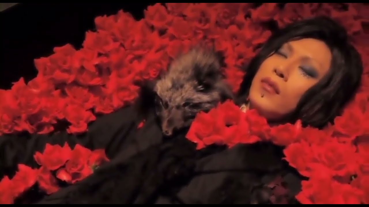 ライチ☆光クラブ (Litchi☆Hikari Club) - 漆黒の薔薇 PV