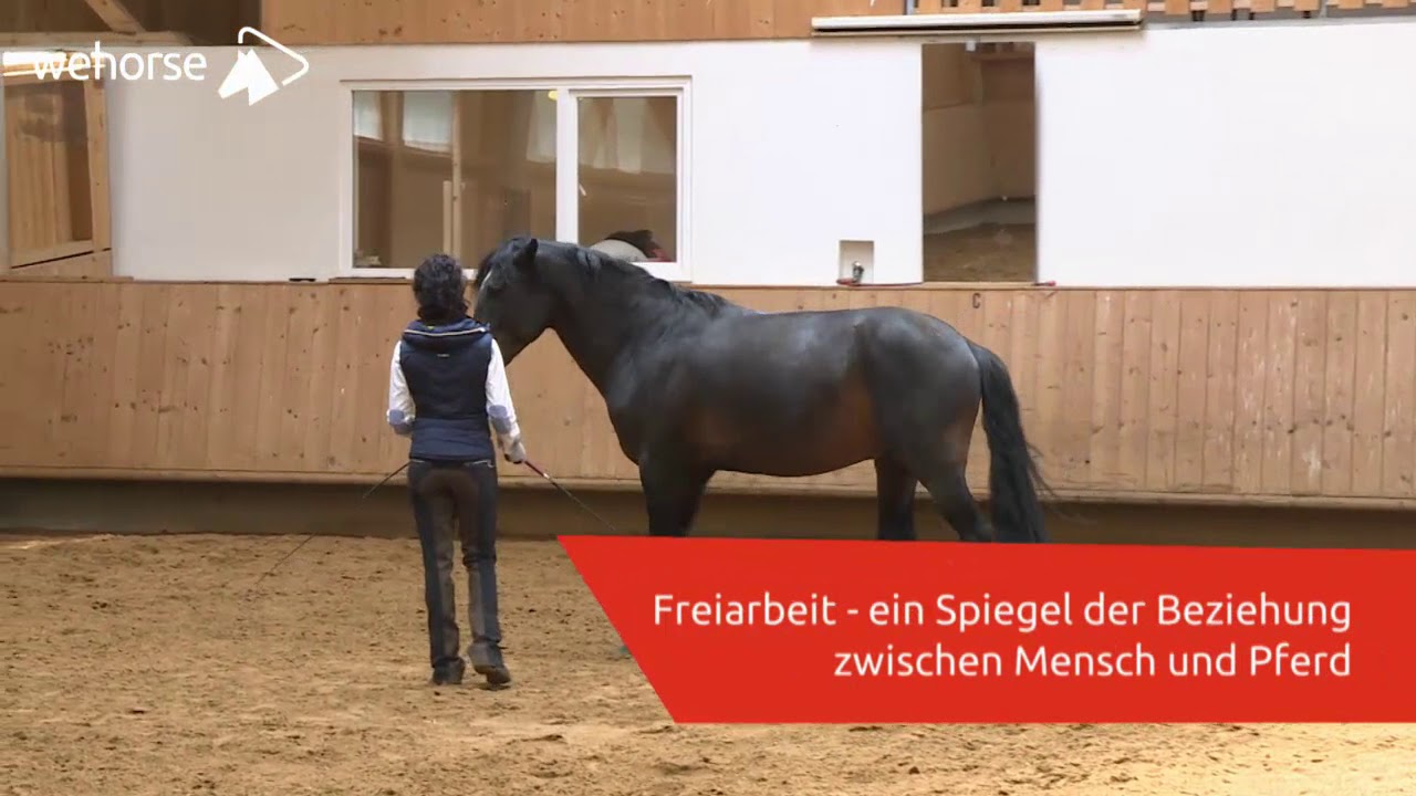 So klappt es mit der Freiarbeit | Kathrin Roida