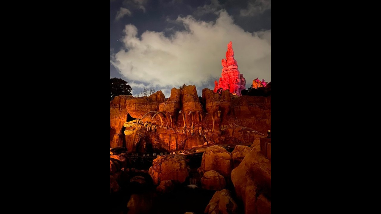 Train Around Disney at night A Must SEE