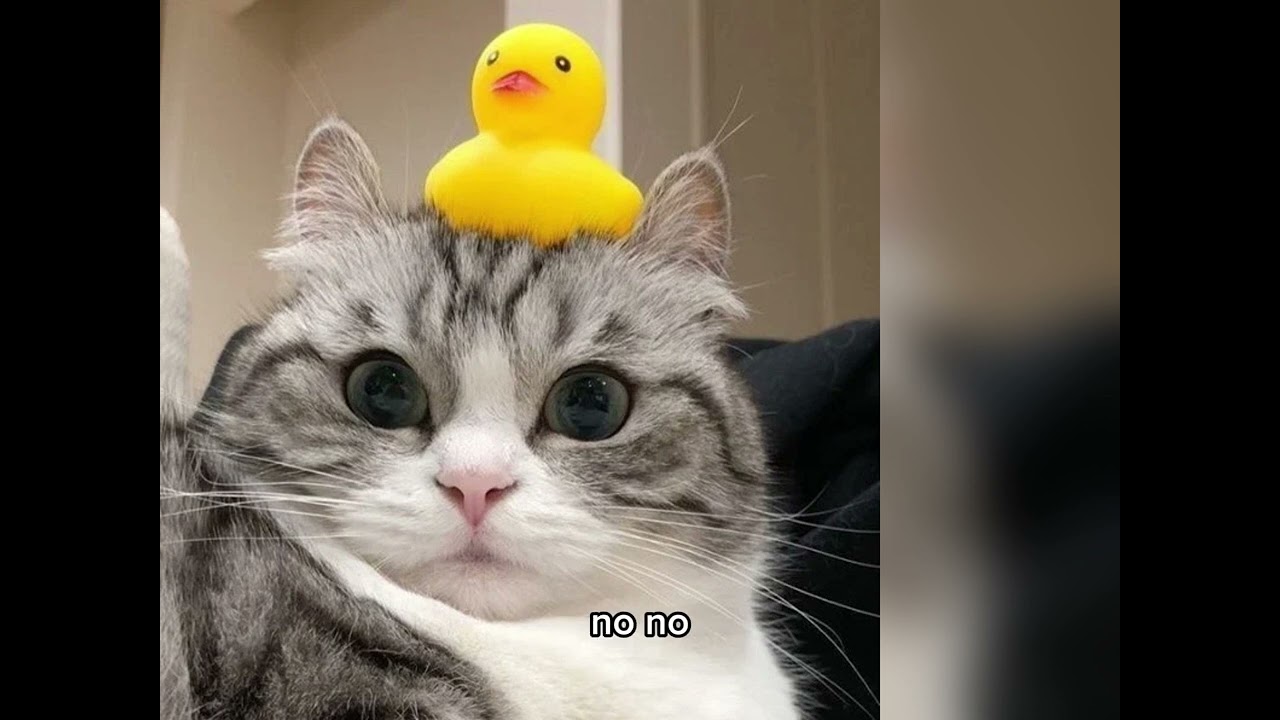 Песни из тиктока за январь 2026 года