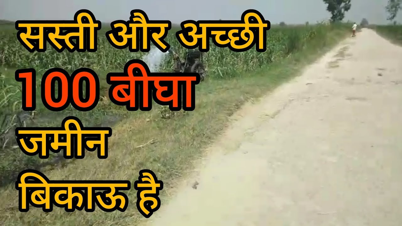 सस्ती और अच्छी 100 बीघा जमीन बिकाऊ है | Agriculture land | UP Meerut | Real Estate/Property