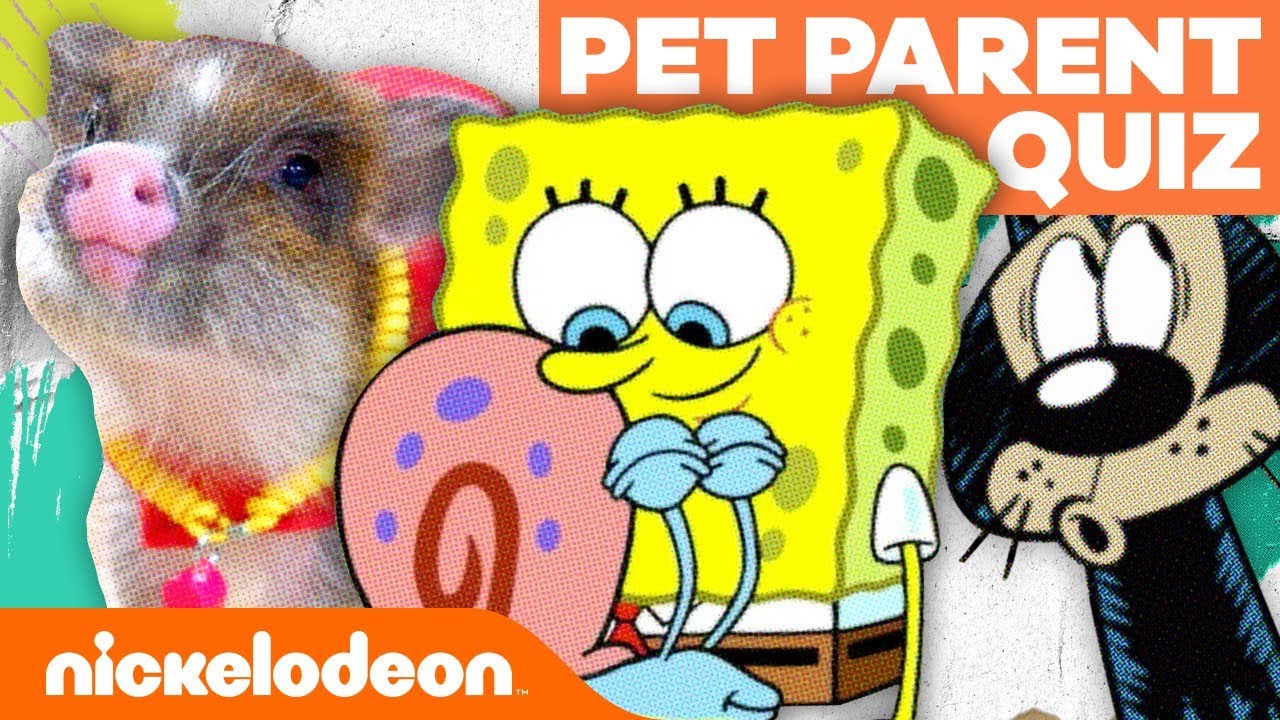 Nick Pet Parent Personality Quiz! 🐶 | 